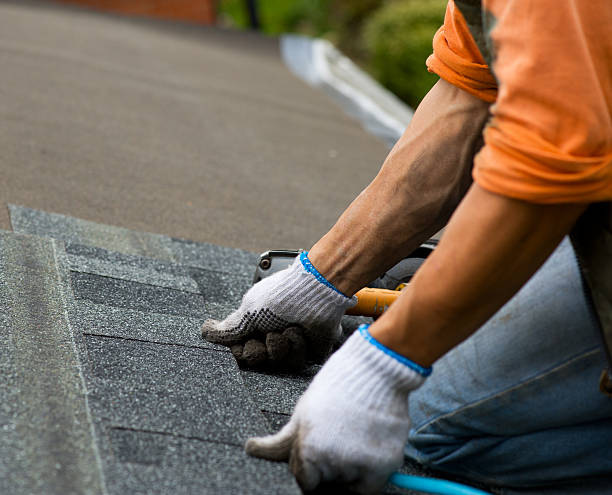 Best Roof Gutter Cleaning  in Whitehall, OH