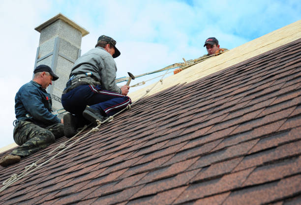 Best Storm Damage Roof Repair  in Whitehall, OH